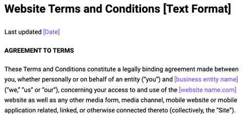 How to Write Terms and Conditions in 6 Easy Steps .